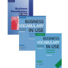 Business Vocabulary in Use 
